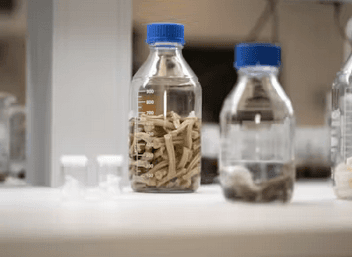 Alginor RCN MARINFORSK Project