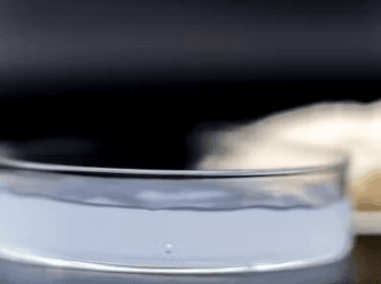 Alginor Announces Two New R&D Projects: Cellunor and CIRCALGAE