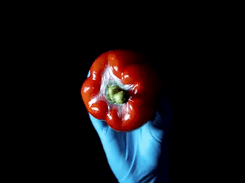 Alginor Receives NOK 12.6 Million Grant for Algefilm Project