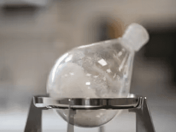 Alginor Fucomed Project