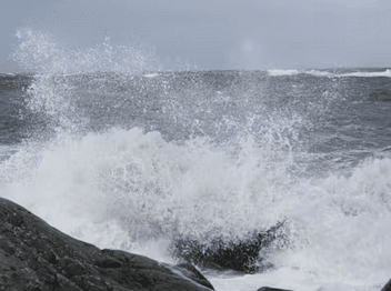 Alginor EU SME Phase 1