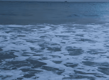 Alginor in EU ALEHOOP Project