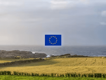 Alginor Completes AORTA 2 Project